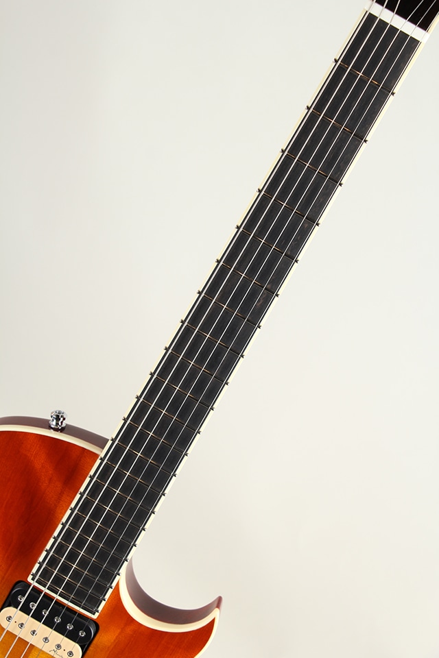 69 Burst "Pre-Columbian Birch Top"