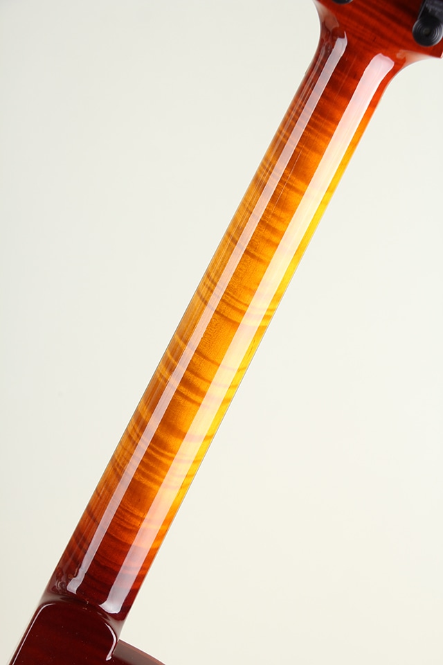 Semi-Hollow Rosewood Bridge and Ebony Tailpiece Spruce Top&Figured Maple Back