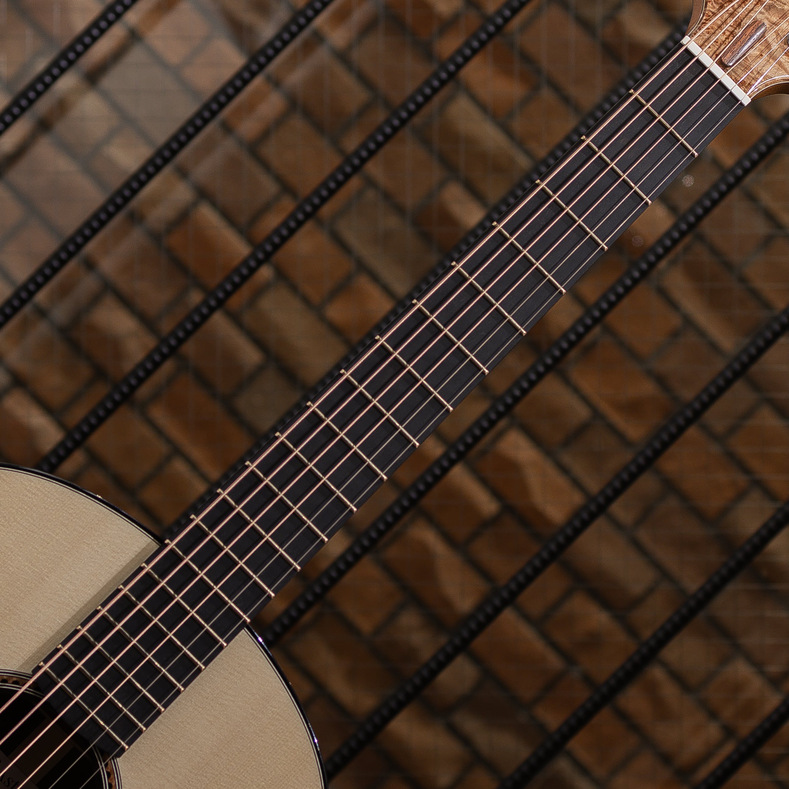 A-OM Swiss "Moon" Spruce / Madagascar Rosewood