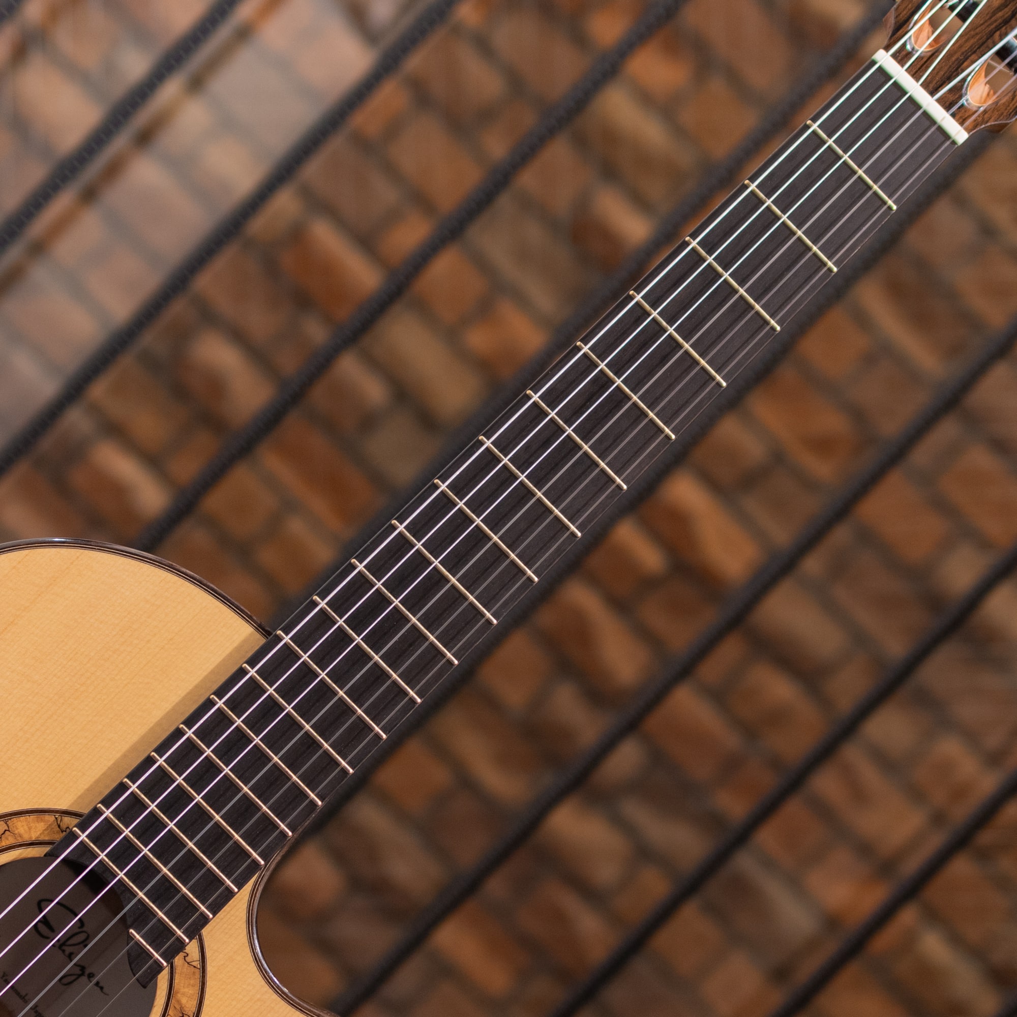 Jazz Nylon Lutz Spruce / Ziricote