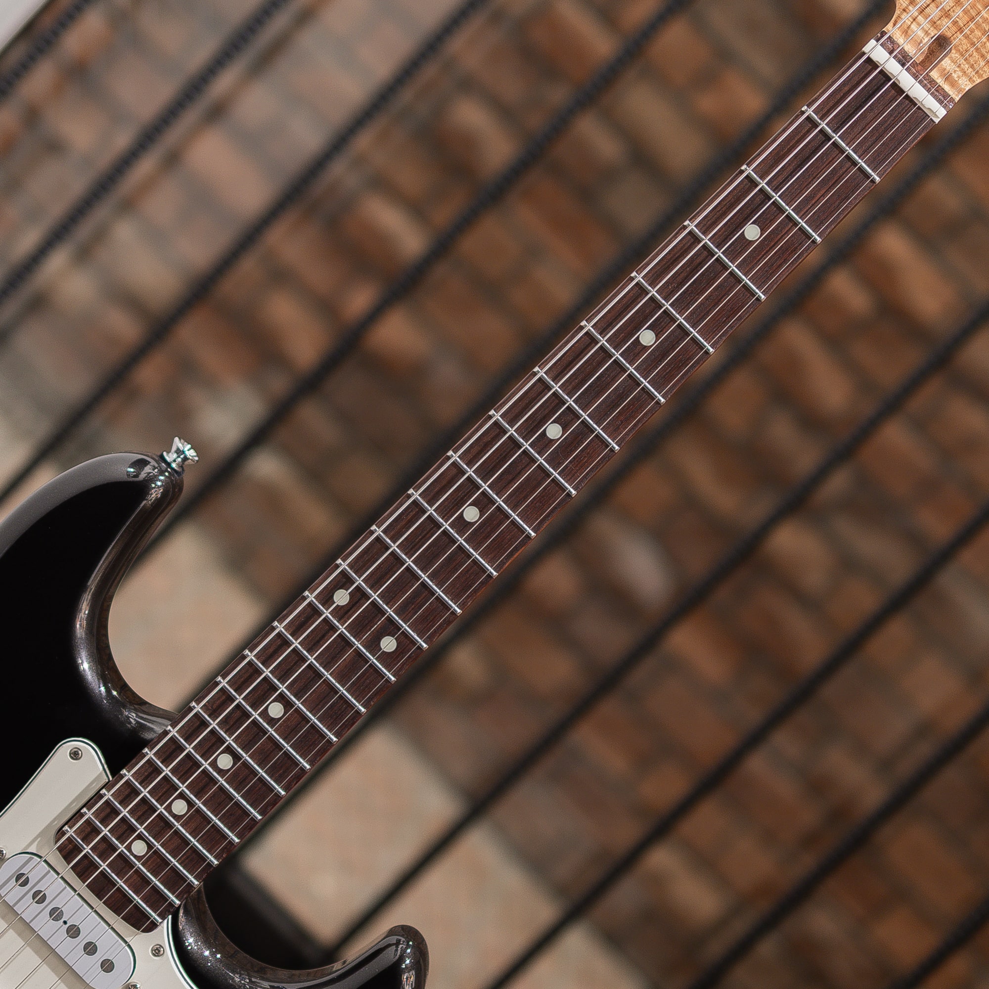 TST-201 5A Roasted Flame Maple Neck/Rosewood FB Dark Black Metallic