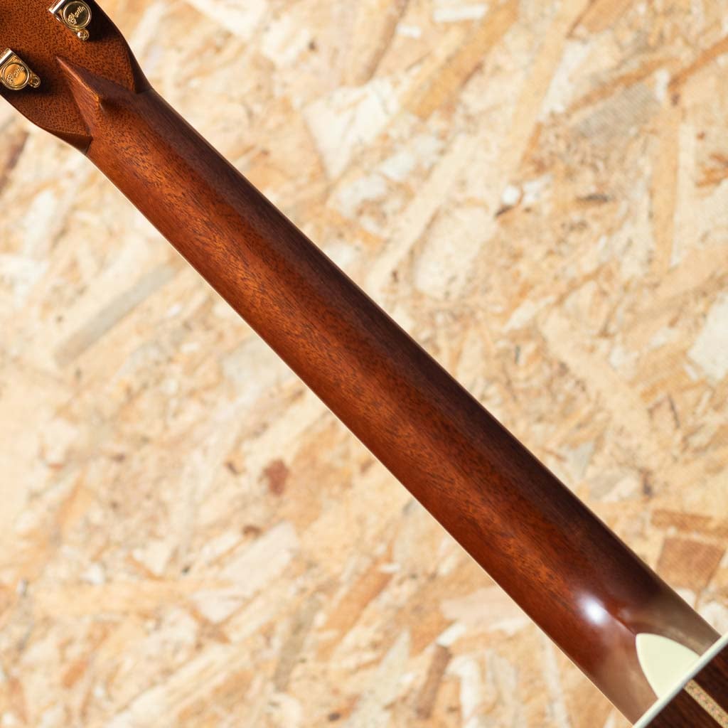 HD-40 Tom Petty 2004