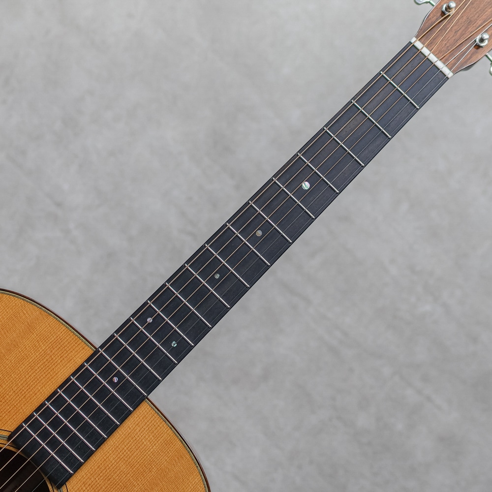 CTM D-18 Premium Sinker Mahogany / 2021: アコースティックギター