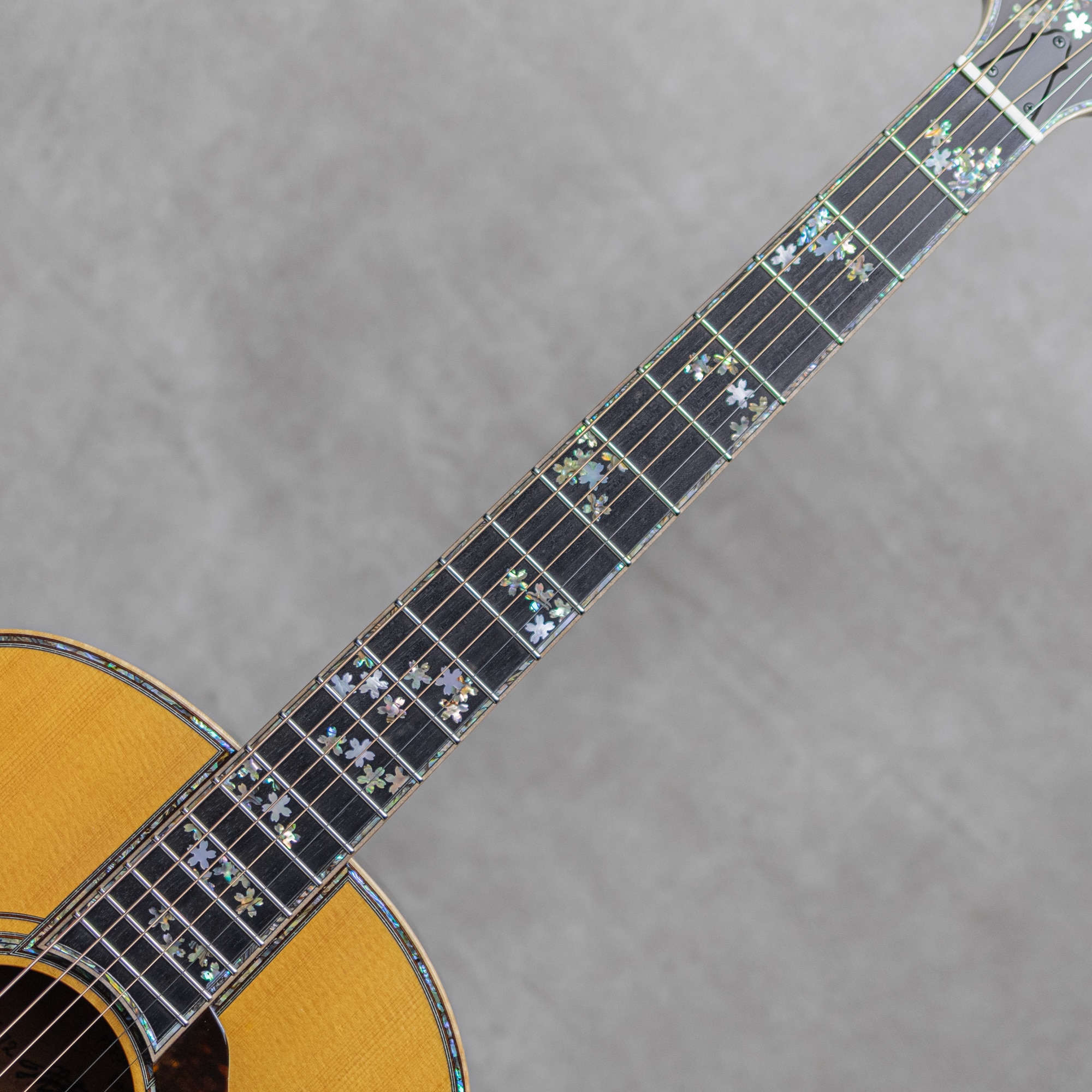 PTJ-100MR Acoustic INN 5th Anniv. Sitka Spruce /Madagascar Rosewood / 2023