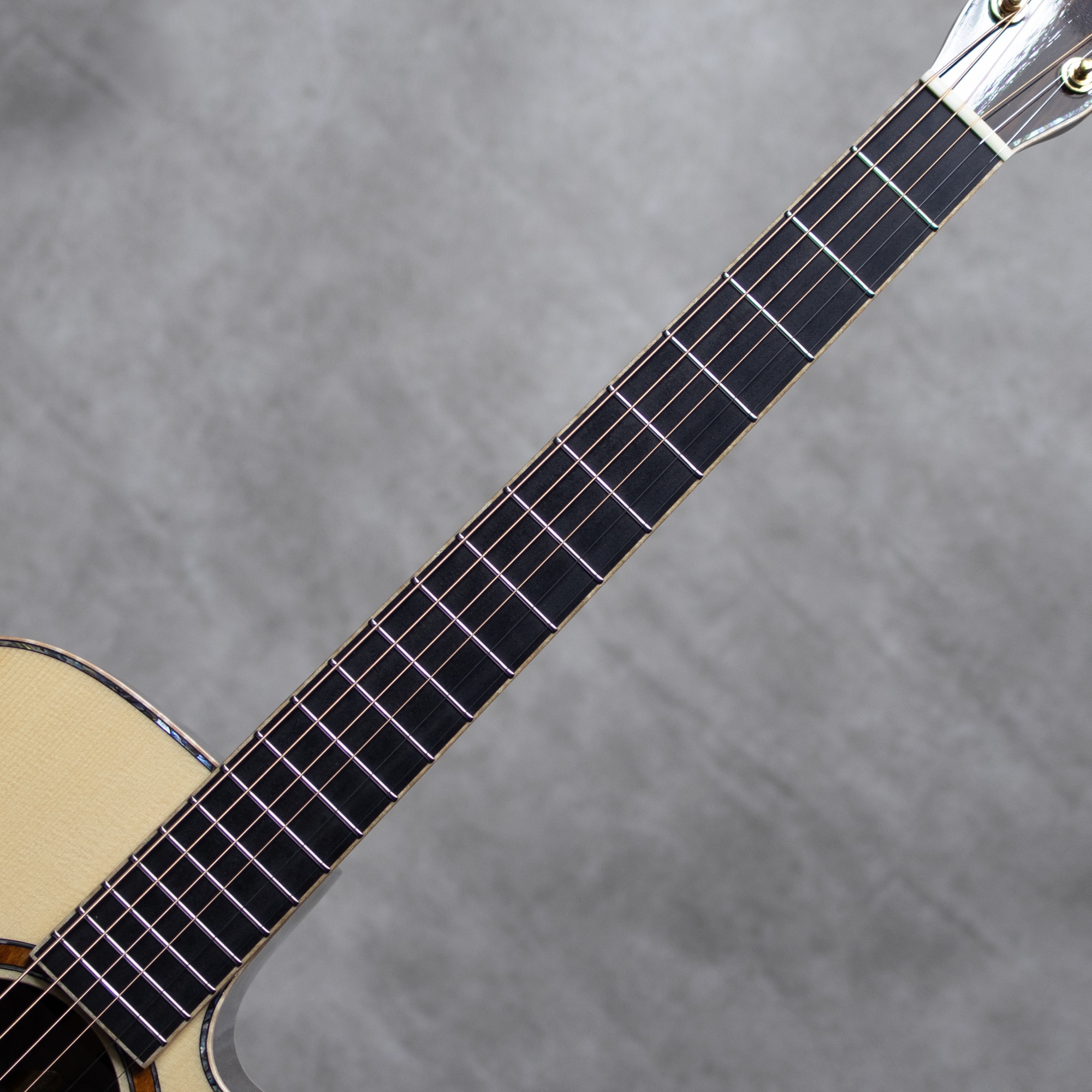 Morris S-101 III/LTD '24: アコースティックギター｜三木楽器公式通販