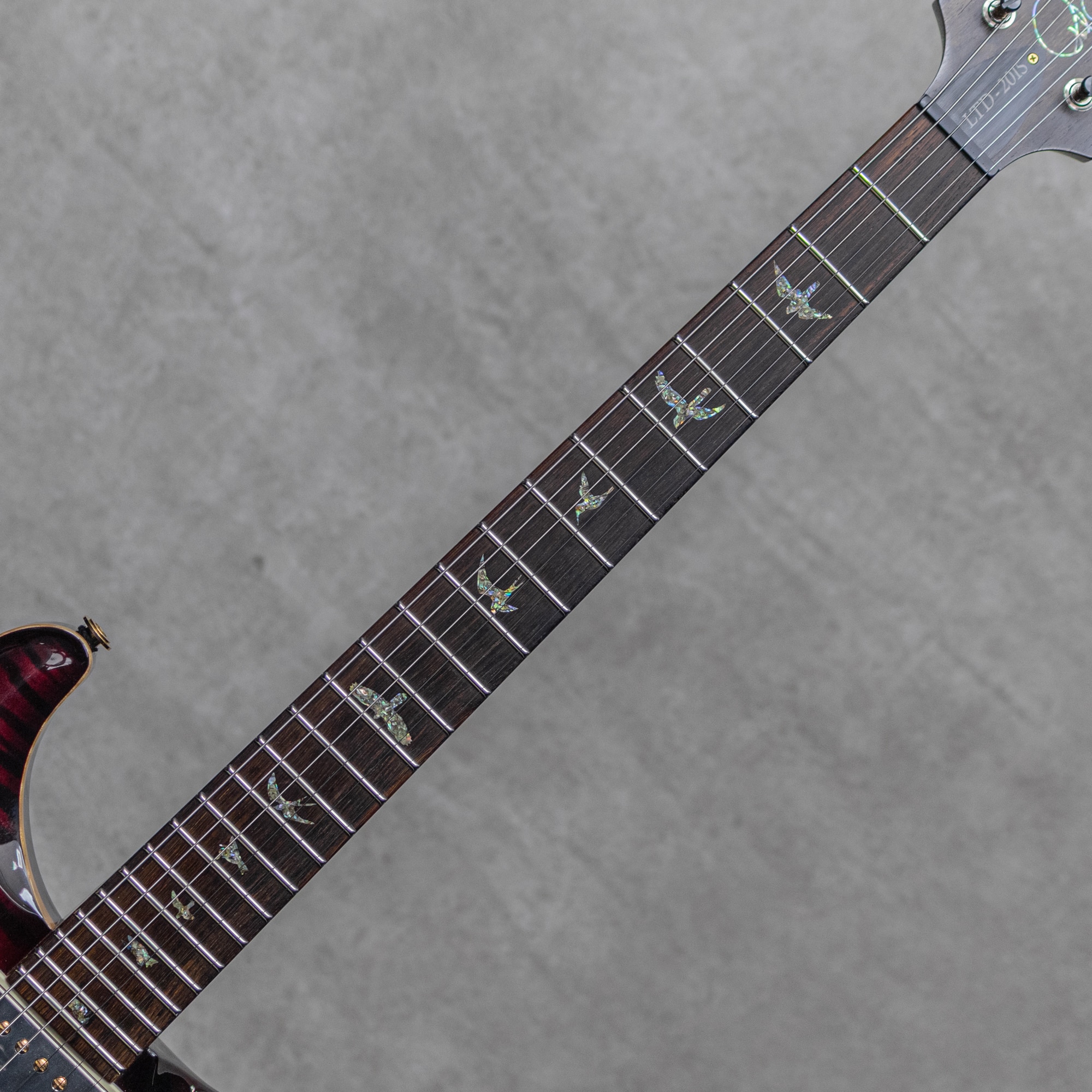 Wood Library P24 Trem Limited Rosewood Neck&FB Angry Larry / 2015