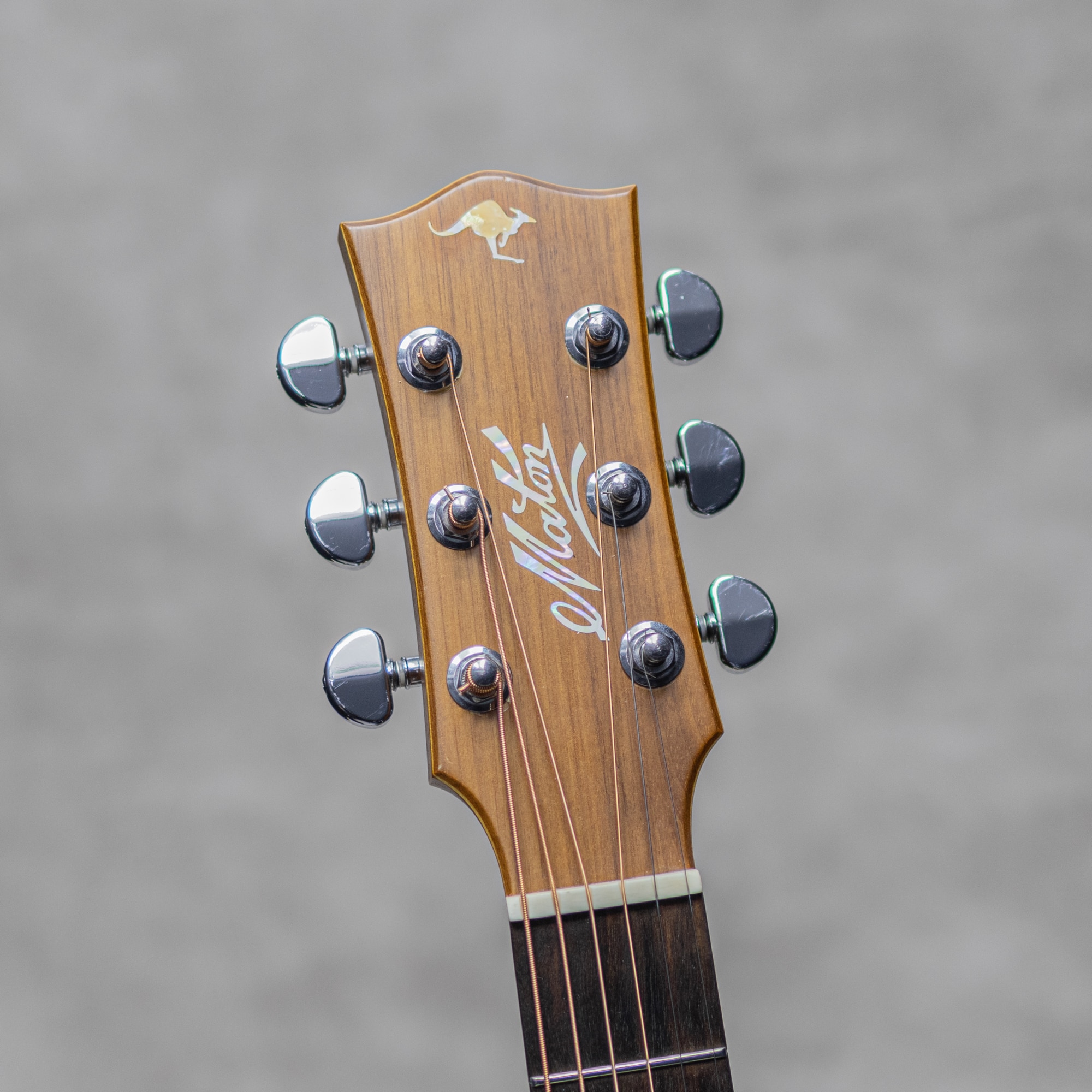 EBG808CTE Tommy Emmanuel Signature / 2020's: アコースティック
