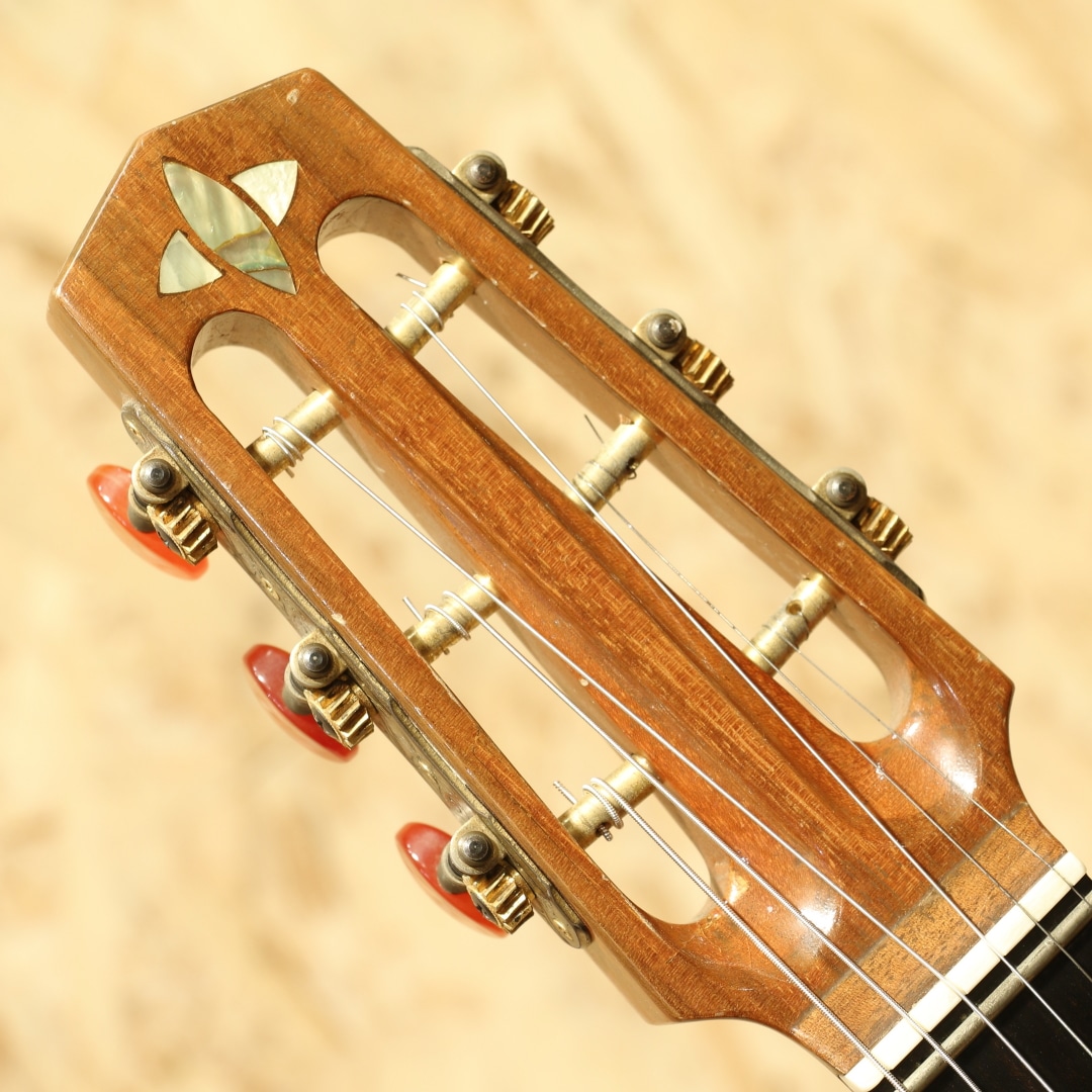 マカフェリギター アコースティックギター Amazon | ARIA MM-100/D アコースティックギター マカフェリ