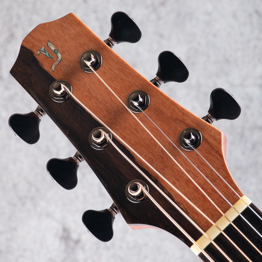 LNN-SM Bearclaw Sitka Spruce Mahogany 2025: アコースティックギター