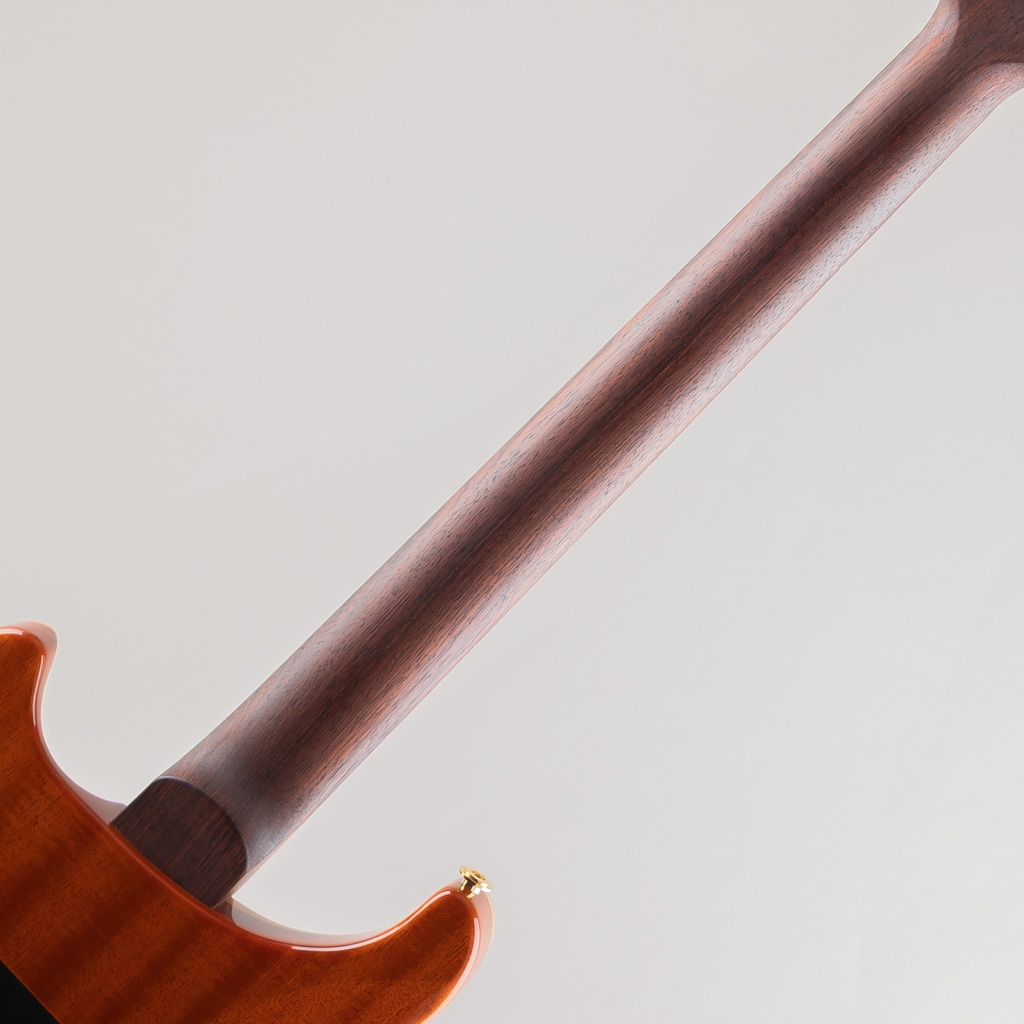 Wood Library Custom 24-08 10Top Autumn Sky 2020