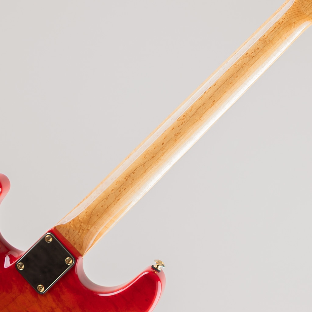 Neck-Through Carve Top Torrefied Silver Maple Honduras Mahogany H/S/H Trans Red