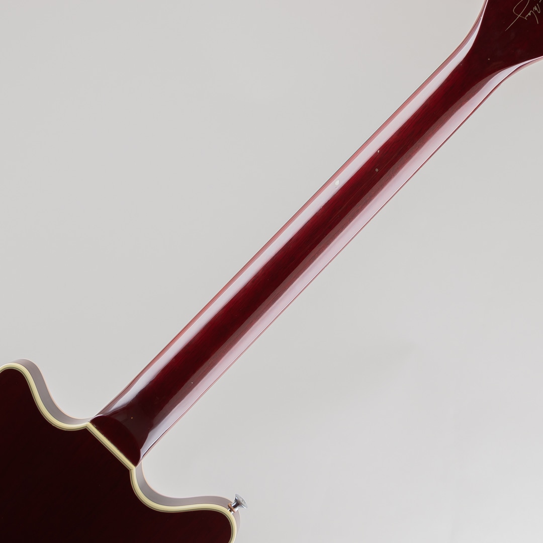 【まこと】カエルギター まだちょっとオタマジャクシなV型カエルギター Jumping V