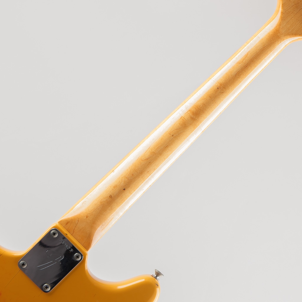 1969 Mustang Competision Orange “Matching Head”