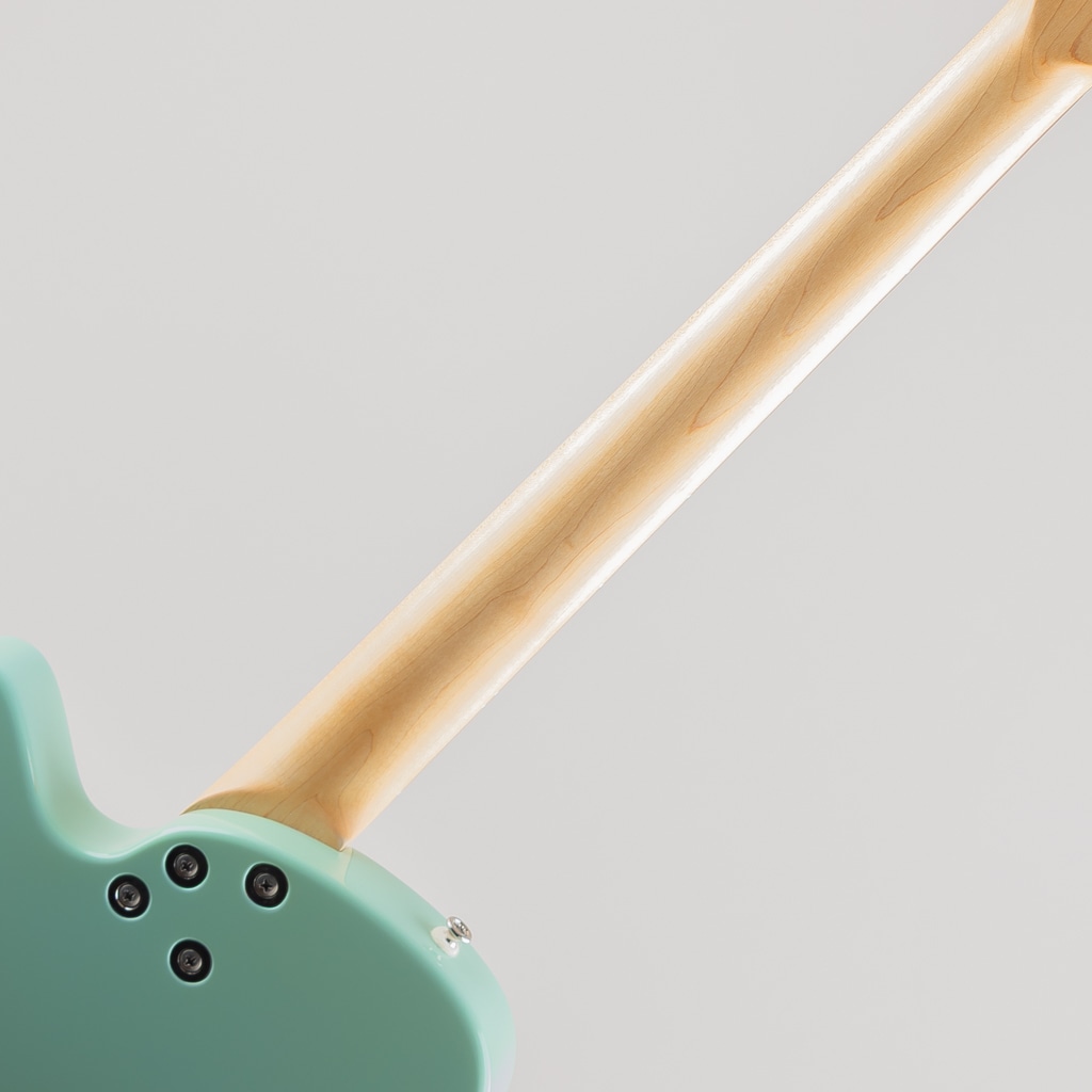 THE AJ / Daphne Blue w/Rosewood