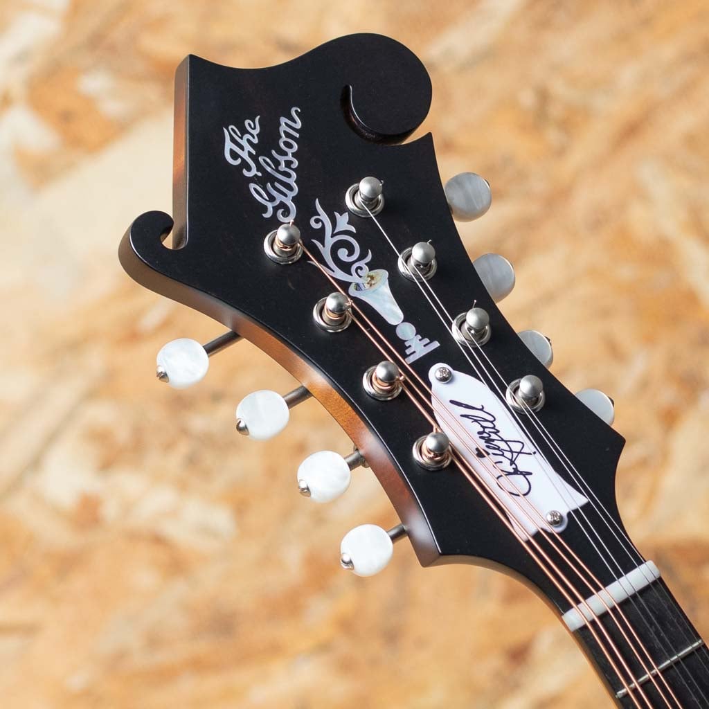 Sierra Hull F-5G