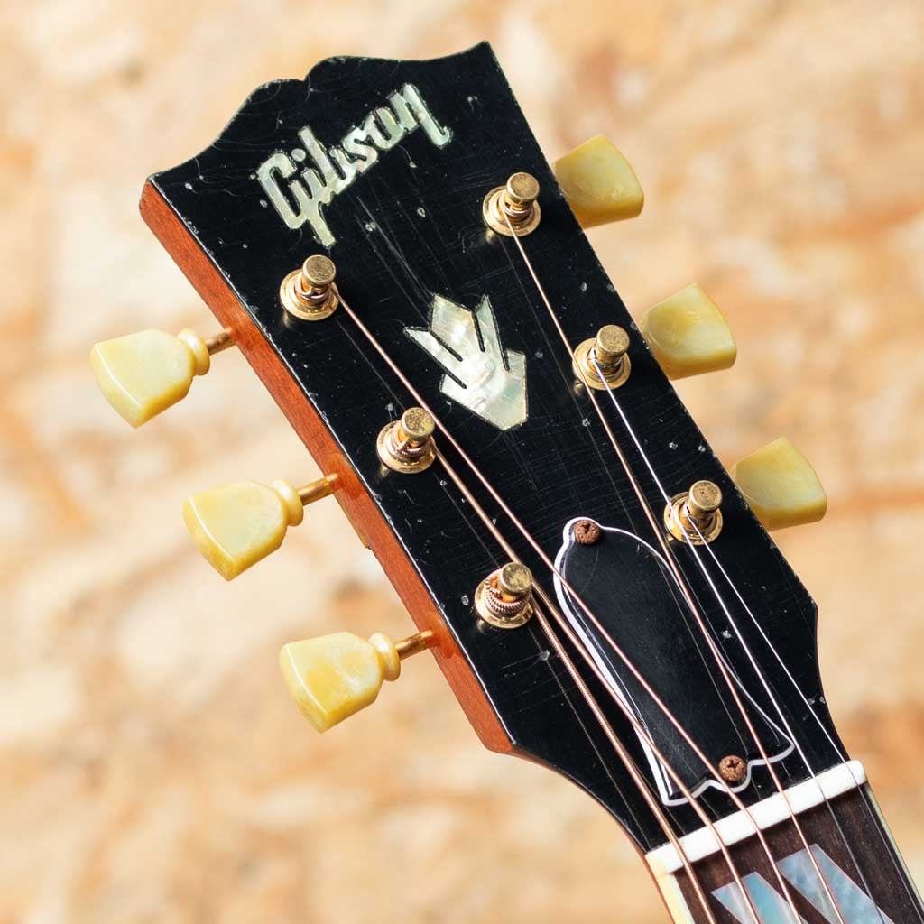 1960 Hummingbird Light Aged