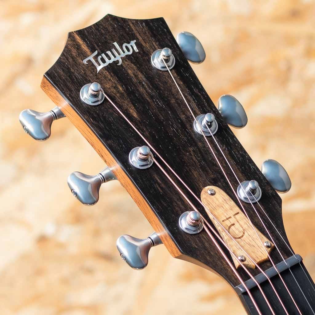 Jacob Collier Signature Model JCSM-6