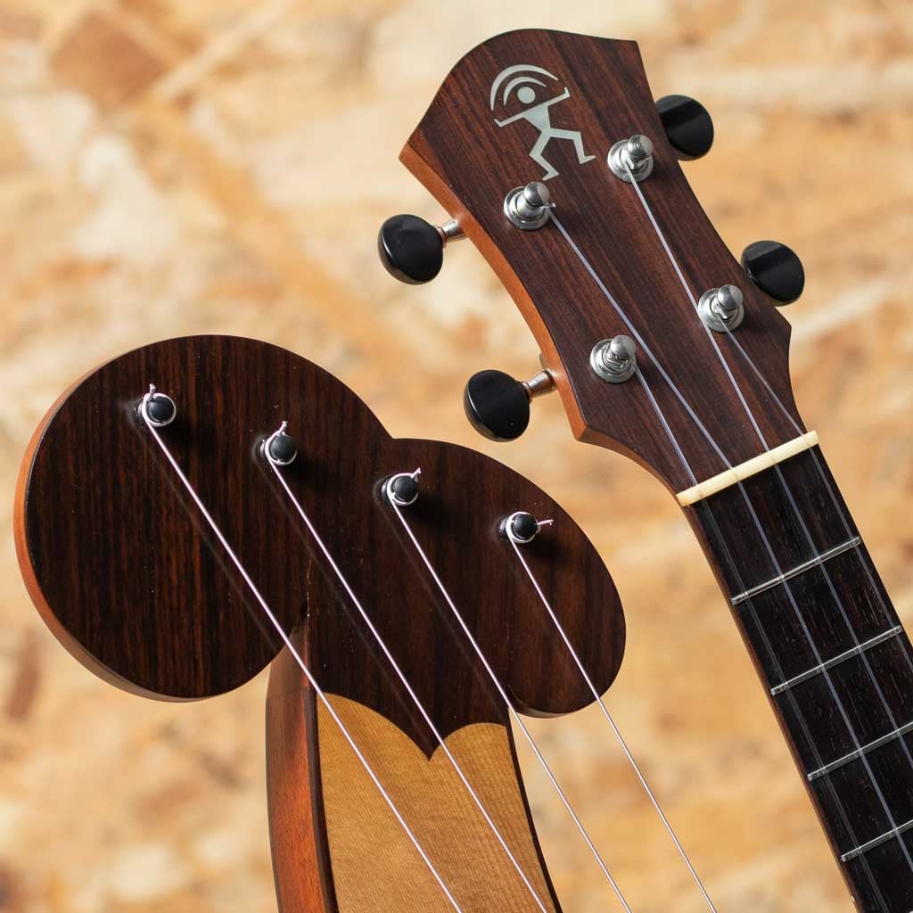 aNN-Harp.E 2010's