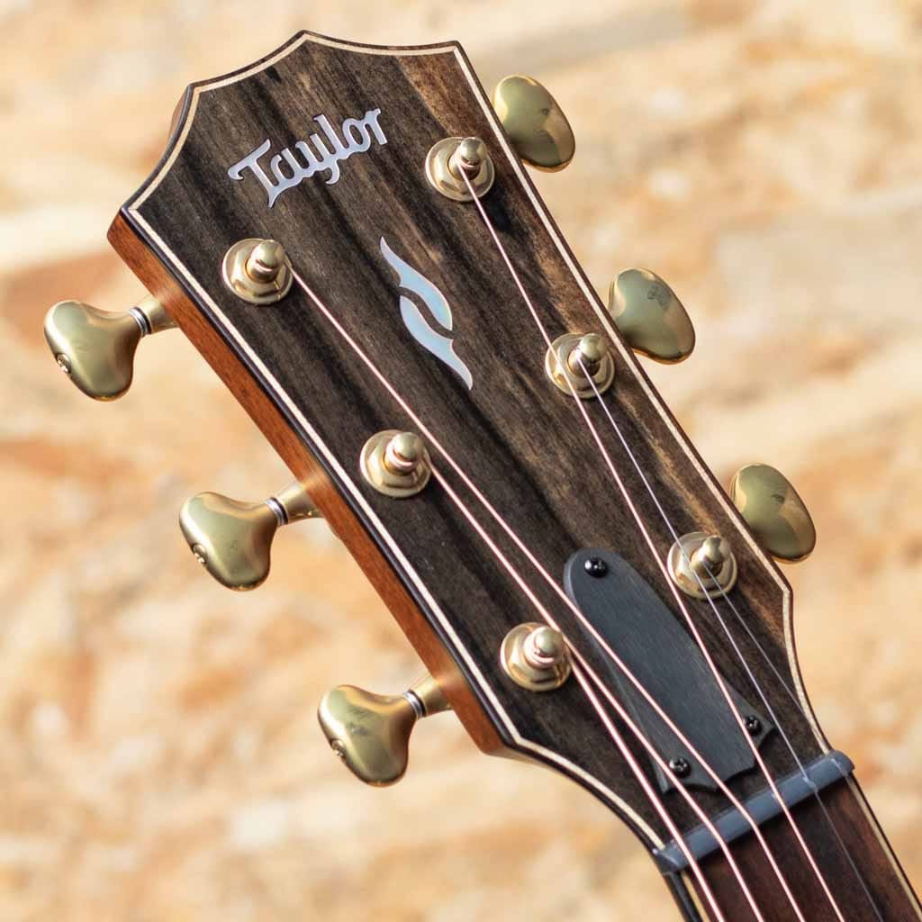 Builder's Edition 814ce Blacktop: アコースティックギター