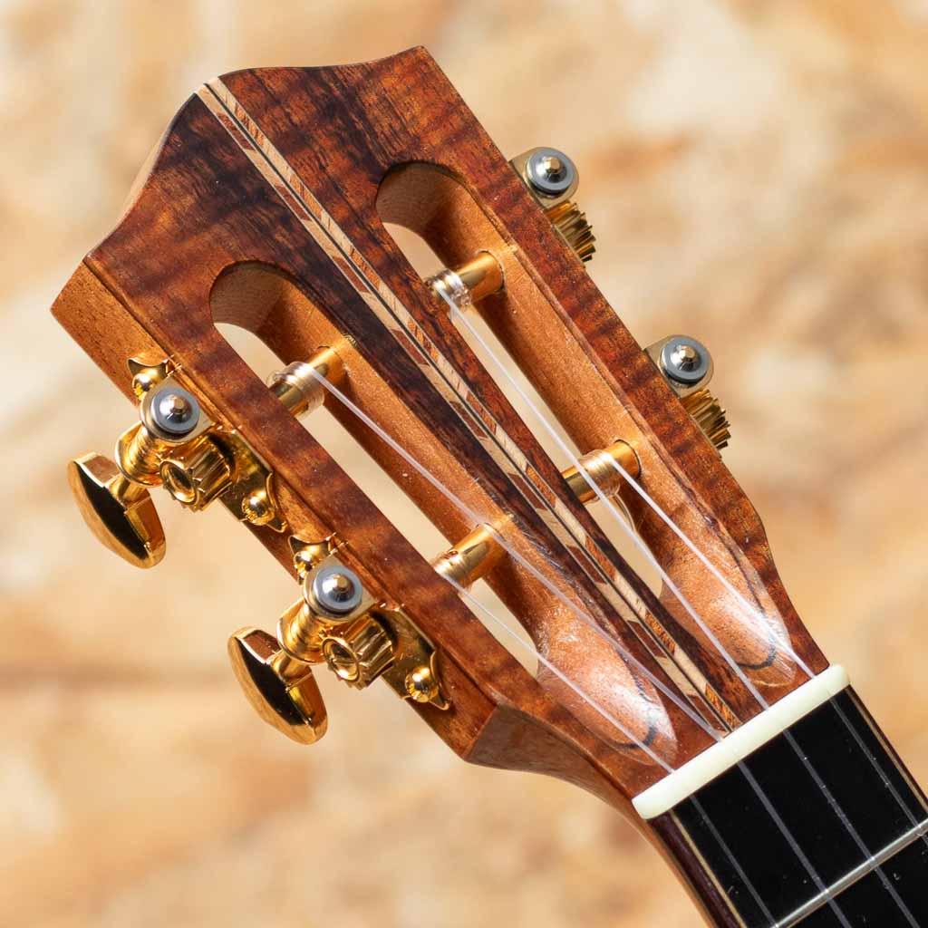 CBDK-LN Concert Semi Long Neck