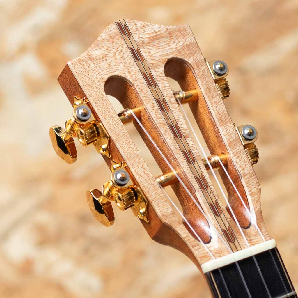 CEDMP-LN Concert Semi Long Neck