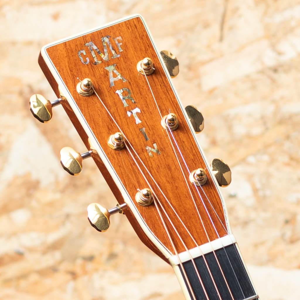 CTM D-45 Madagascar Rosewood Anaheim 2012