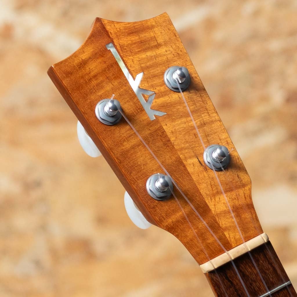 HF-1L Soprano Long Neck 2013