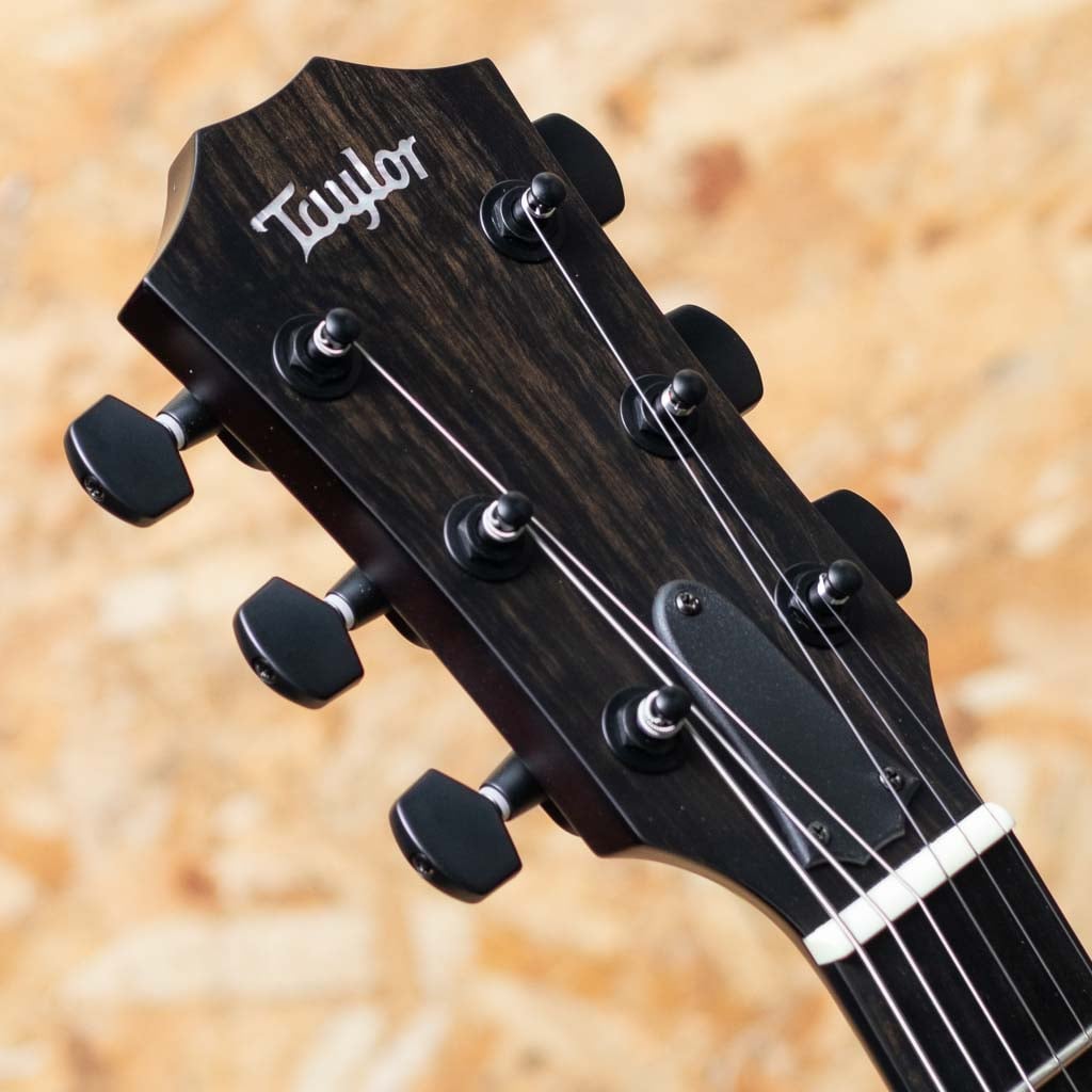 T5z Classic - Koa Shaded Edgeburst: アコースティックギター｜三木