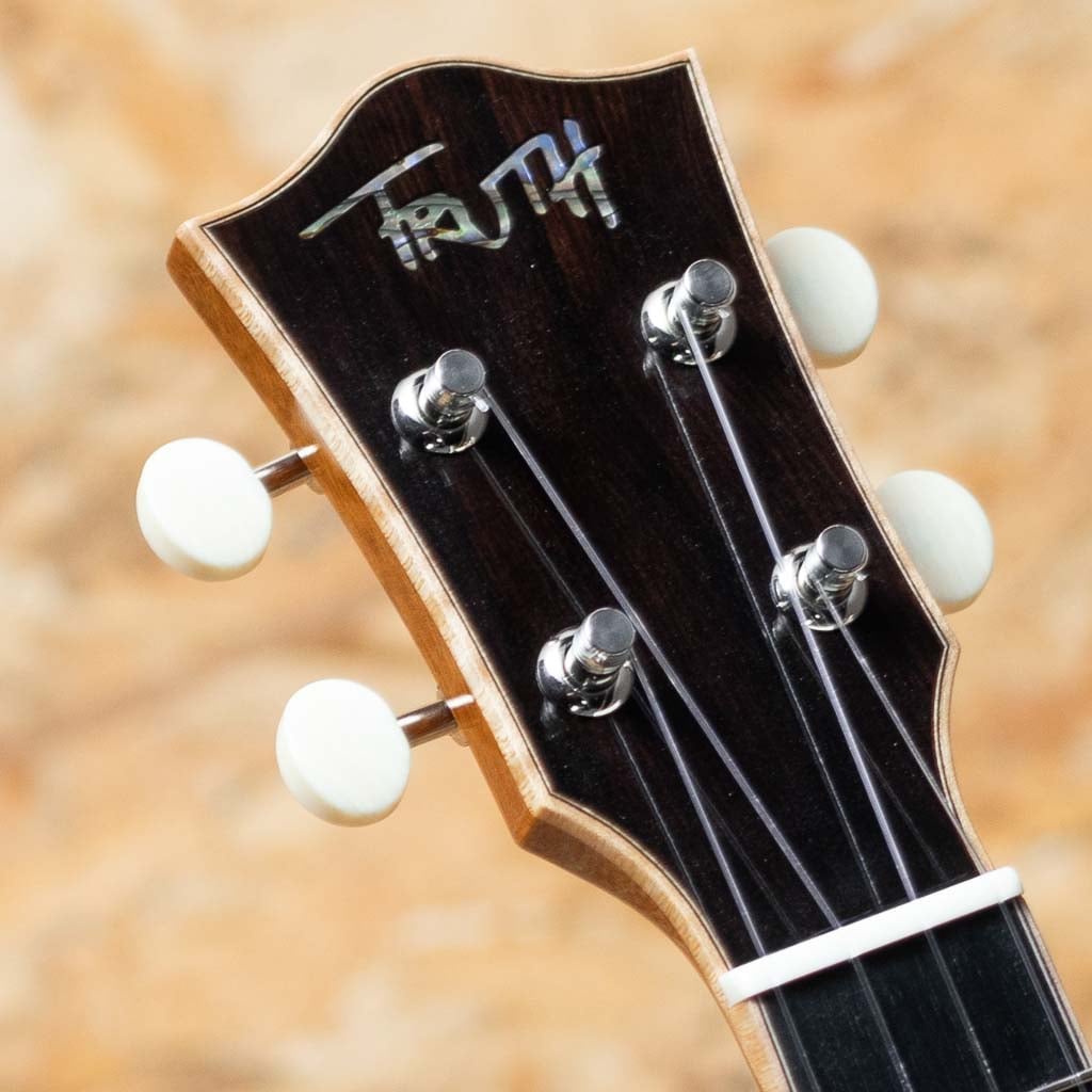 THC-2233 CST Concert