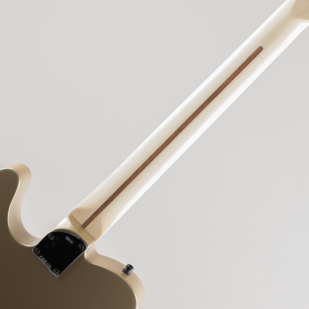 Limited Edition Jim Root Telecaster, Ebony Fingerboard, Shoreline Gold