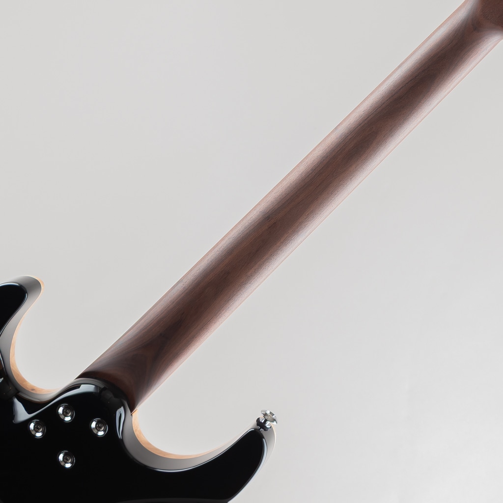Custom Modern Carve Top Burl Maple Top Natural Burst w/Alder Body/Pau Ferro Neck