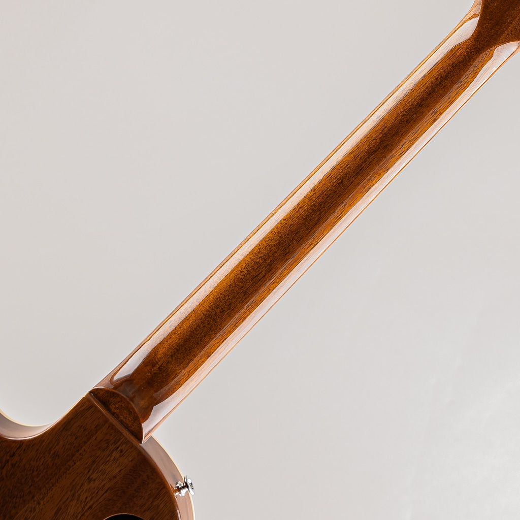 Les Paul Standard 50s P-90 Gold Top【S/N:205860056】: エレキギター