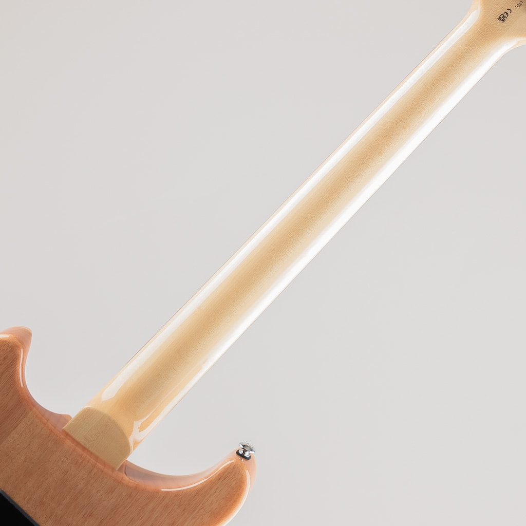 SE Custom 24-08/Turquoise【2024】