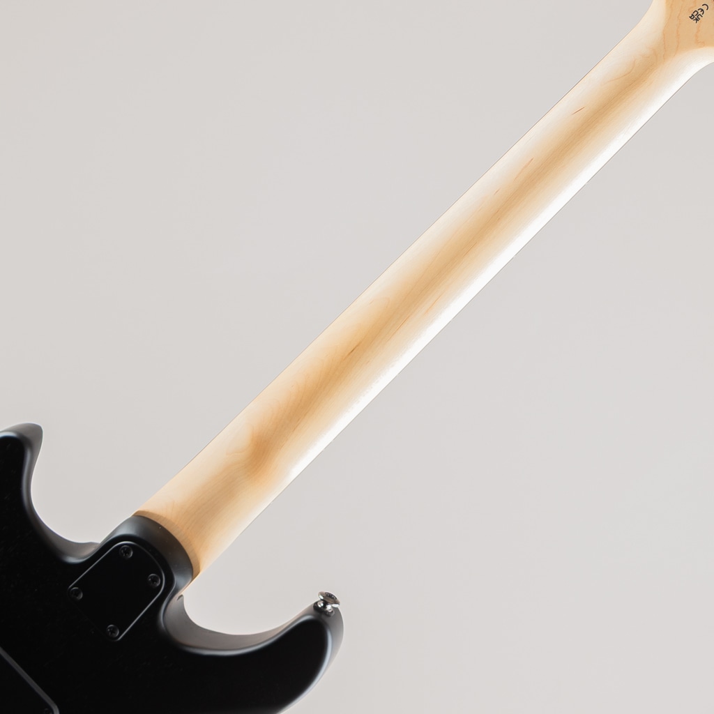 SE Swamp Ash CE 24 Sandblasted Limited / Sandblasted Blue 【2024】