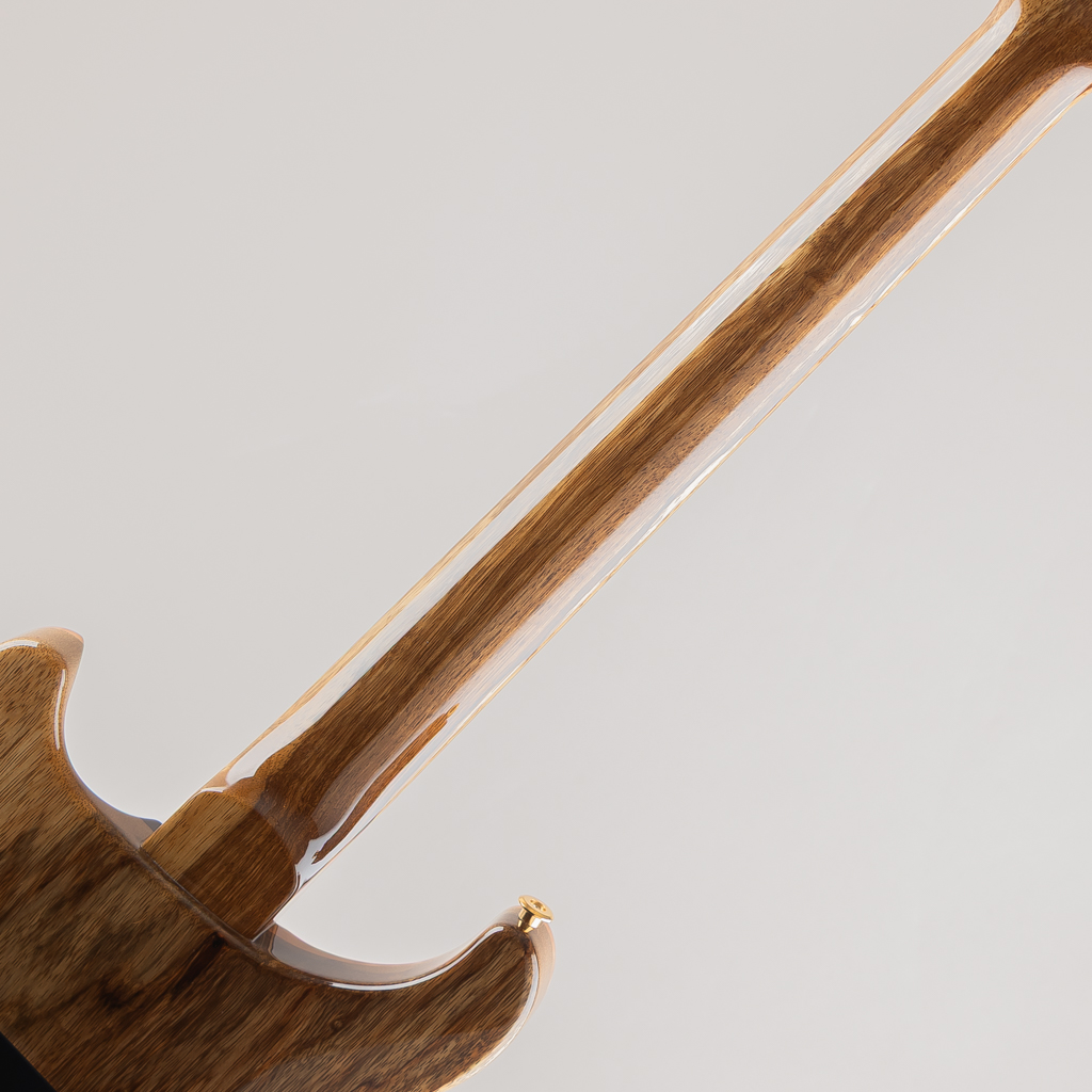 40th Aniversary Special Semi-Hollow Limited Edition Yellow Tiger 2025