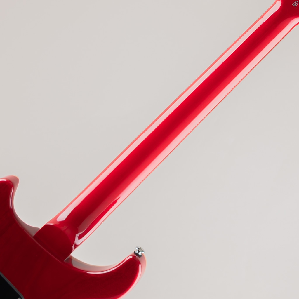 SE Custom 24 /Ruby【2025】