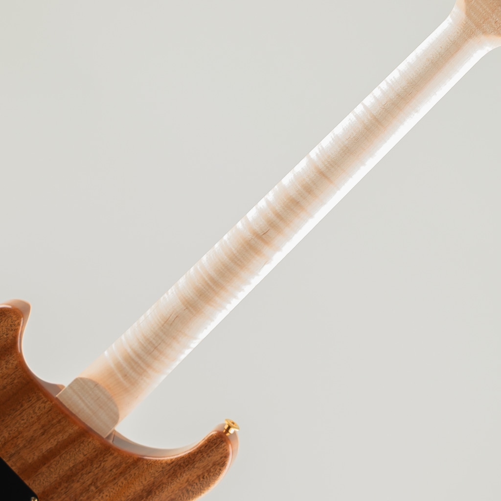 Wood Library Custom 24 10Top Natural Japan Exclusive 2026: エレキ