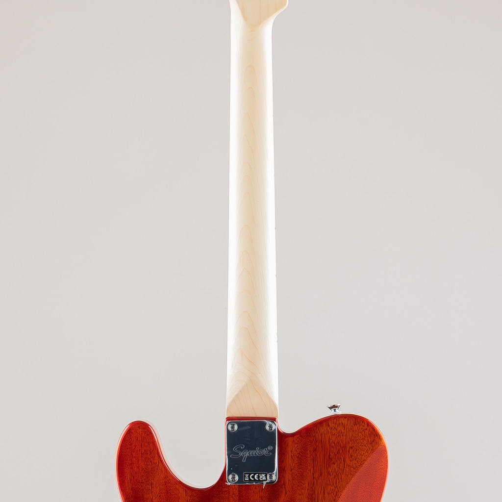 Affinity Series Telecaster FMT SH LRL BPG Mocha FMT Mocha アメリカ村店