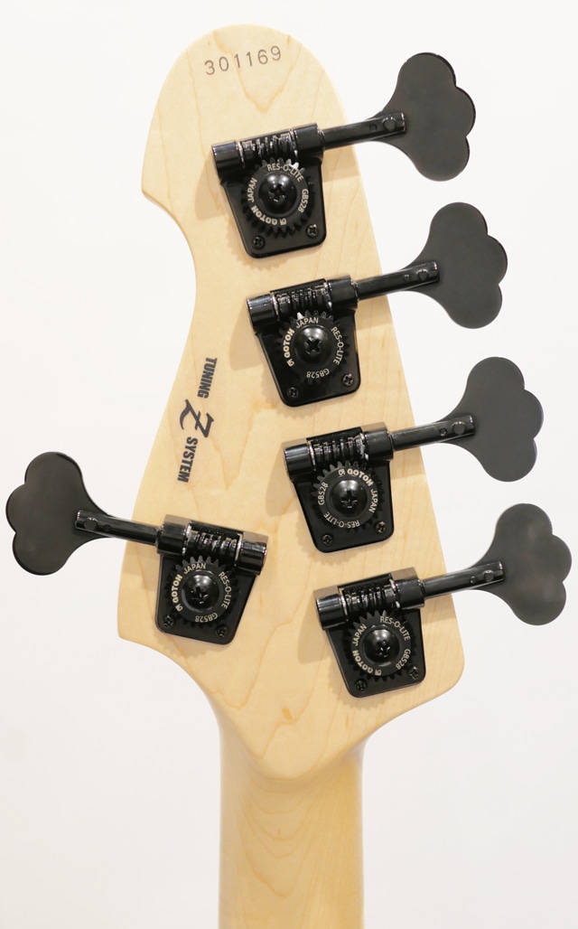 Beta5 CTM TP-MAT BLK MH “2025 Renewal Model”