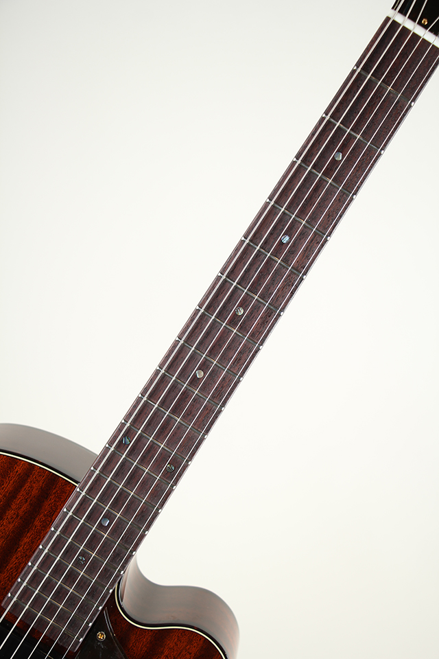 Ladybug Mahogany-C Brown【S/N:RZO929】