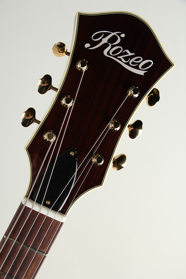 Ladybug SM-C Vintage Sunburst【S/N:RZO902】