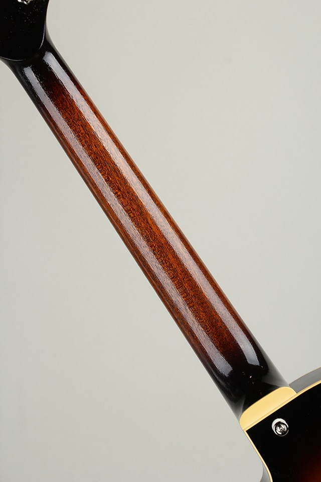 Ladybug MIK-CTM SM-C CC / Vintage Sunburst 【S/N:RZO840】