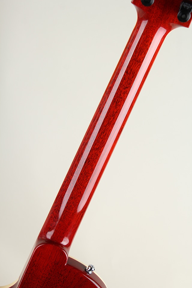 69 Burst "Pre-Columbian Birch Top"