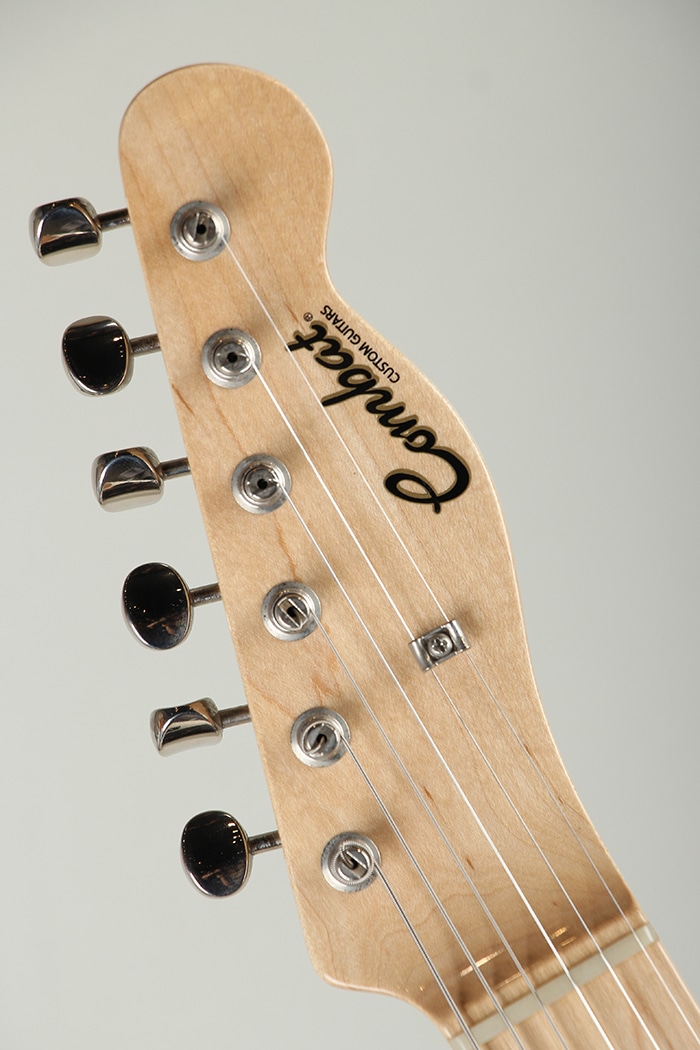 TL Type Order Model EMG Pickups