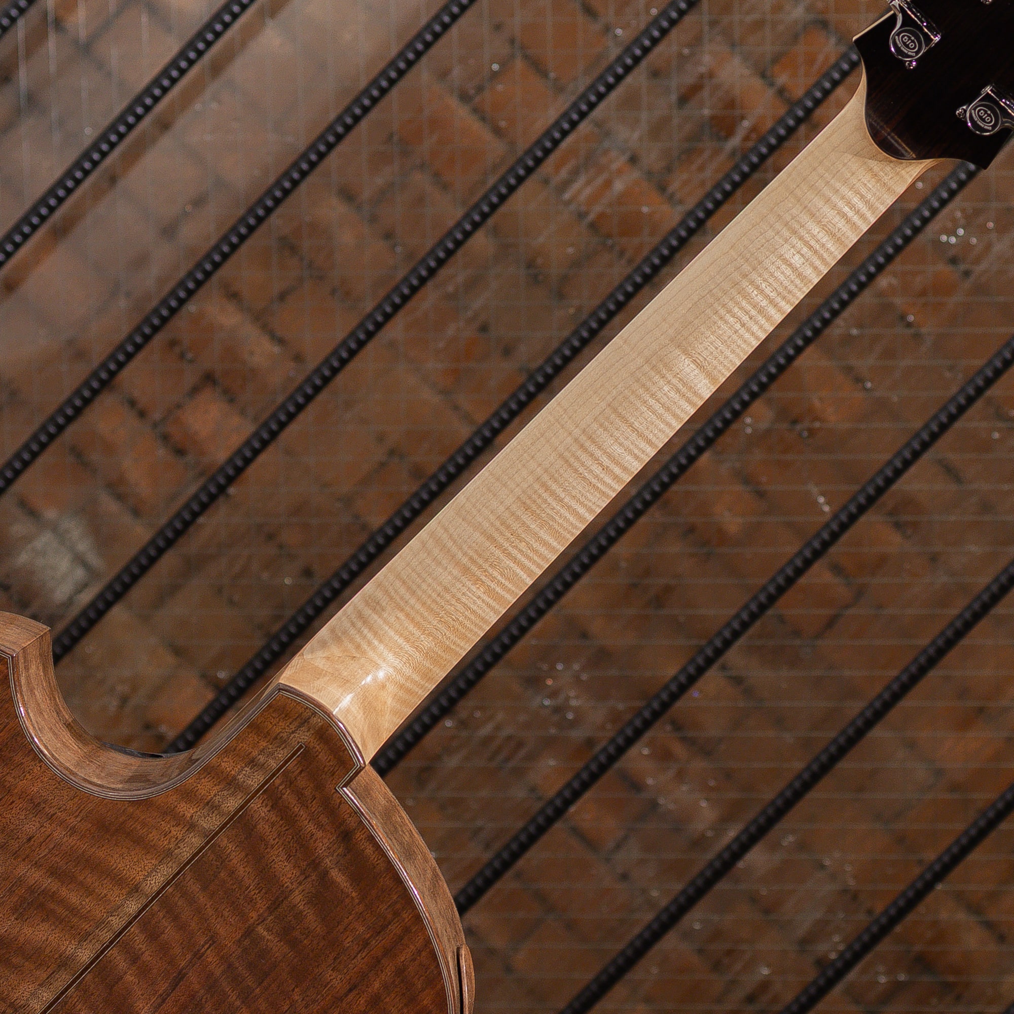 Archtop 16 Prototype Spruce / Black Walnut