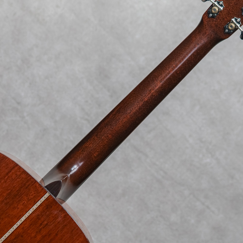 CTM D-18 Premium Sinker Mahogany / 2021: アコースティックギター