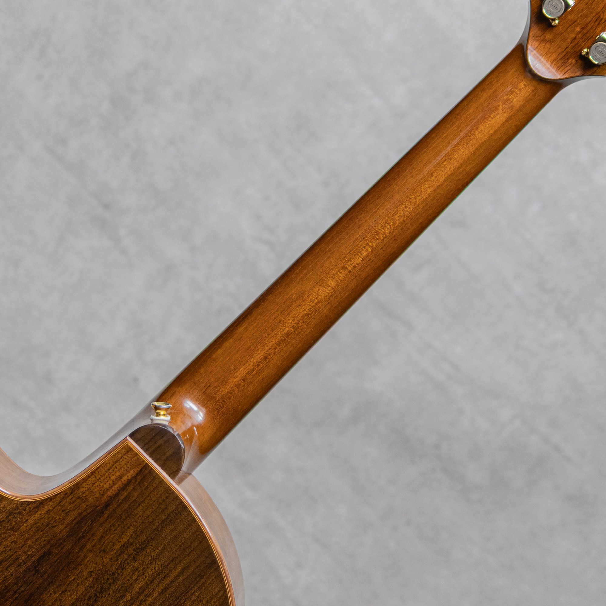 MSS Flush Cutaway Lutz Spruce / 2016