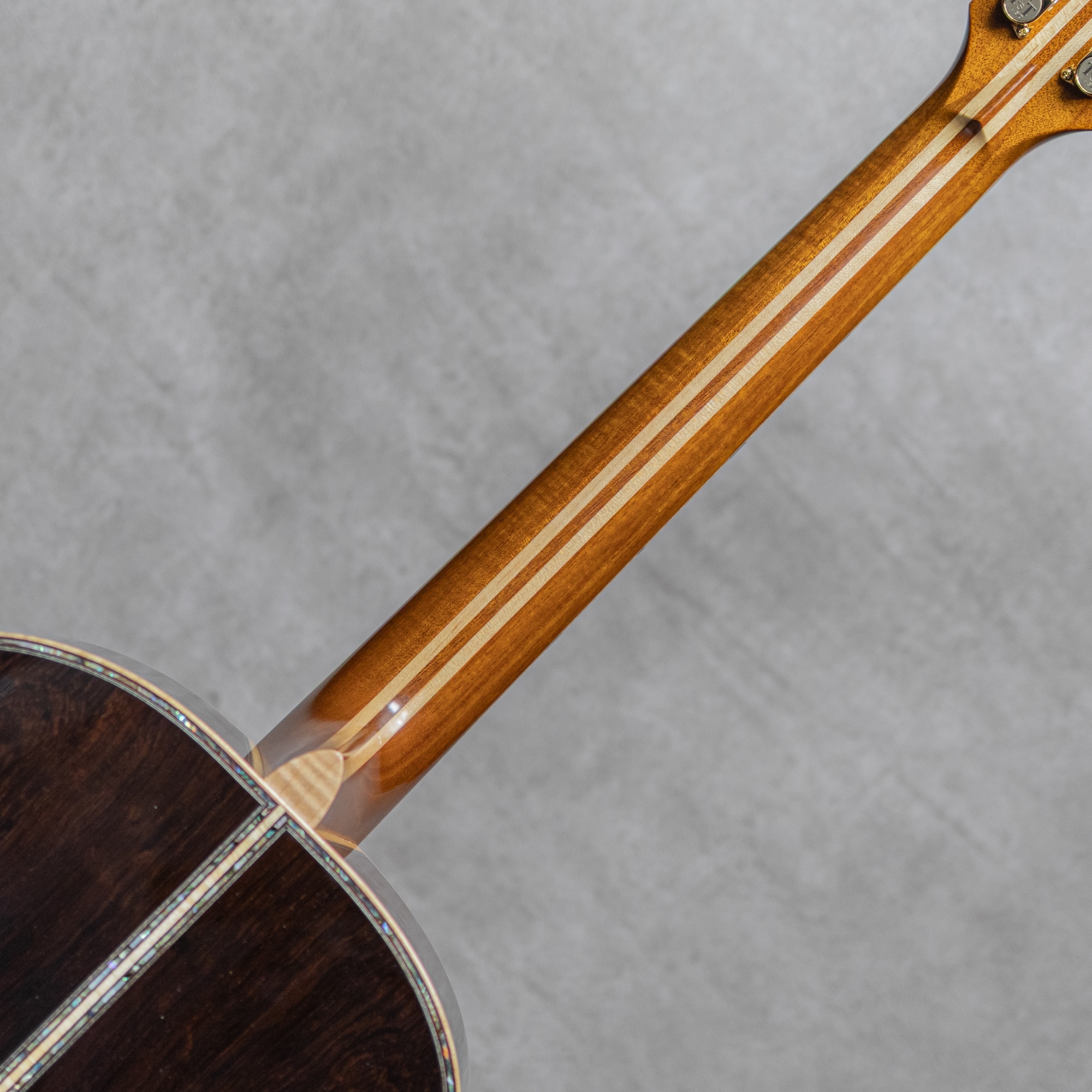 PTJ-100MR Acoustic INN 5th Anniv. Sitka Spruce /Madagascar Rosewood / 2023