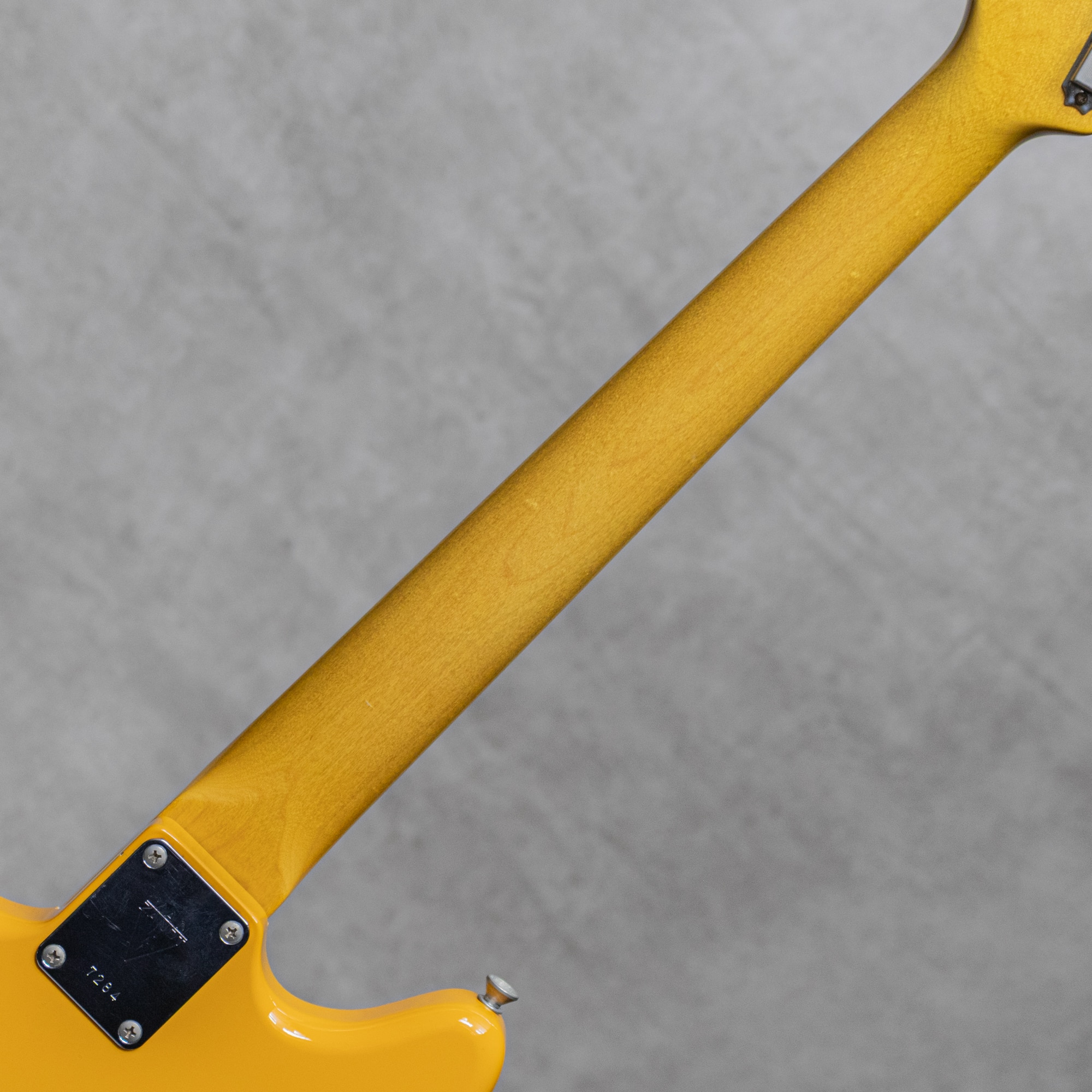 MGV-R2 Jacaranda Competition Orange / 2013