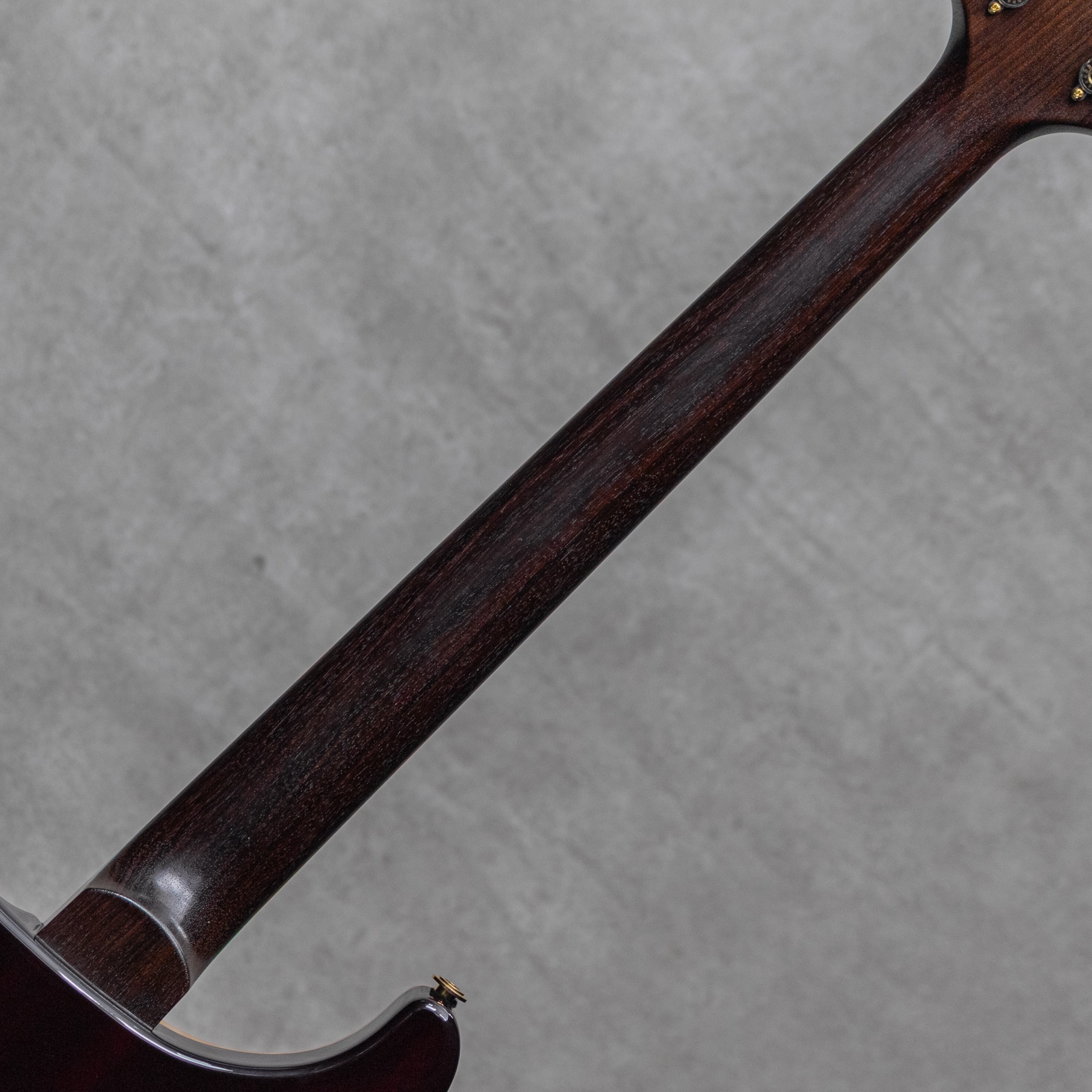 Wood Library P24 Trem Limited Rosewood Neck&FB Angry Larry / 2015